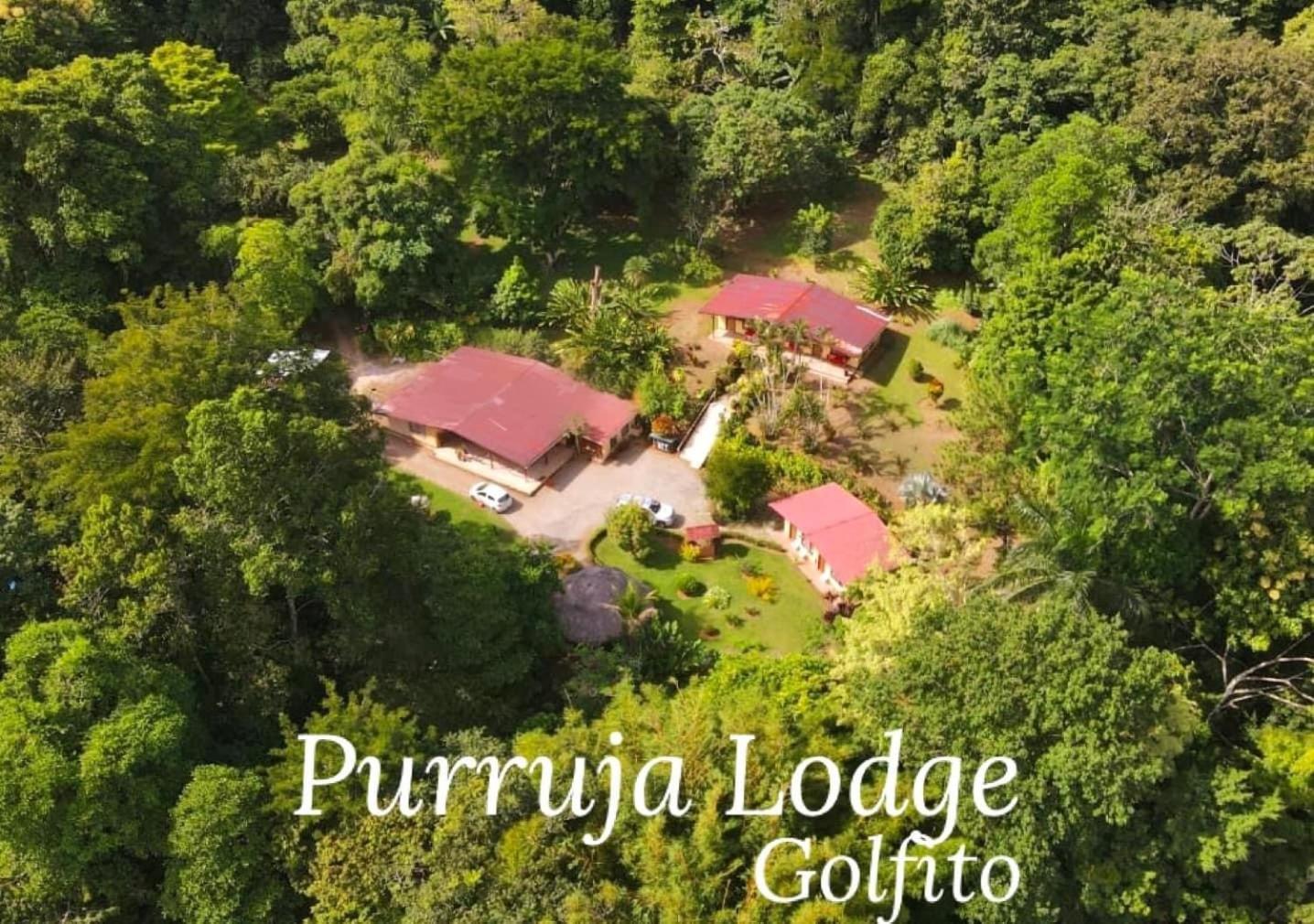 La Purruja Lodge Golfito Exterior foto